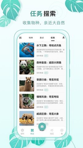 百科物语通用版图2