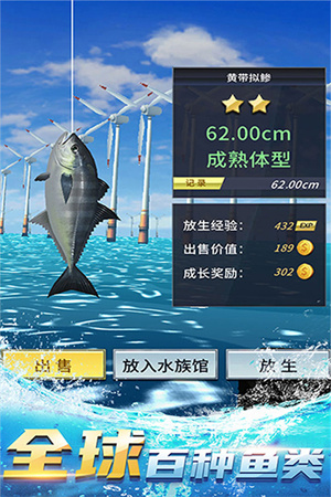 钓鱼达人最新版图4