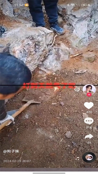 慧猫宝安卓直装版图2