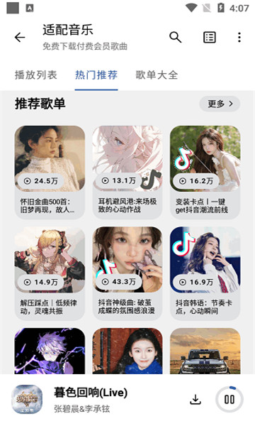 适配音乐官方版图2