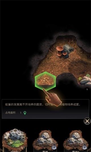 蚂蚁地下王国国际服游戏官方版截图3