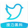 飞鸟器原版