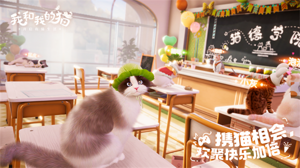 我和我的猫原版截图4