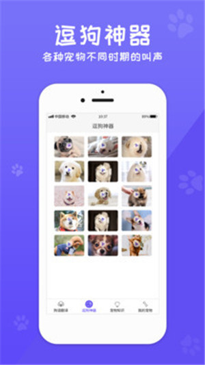 狗语翻译交流手机免费版图1