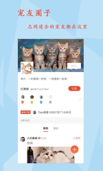 宠友帝正版
