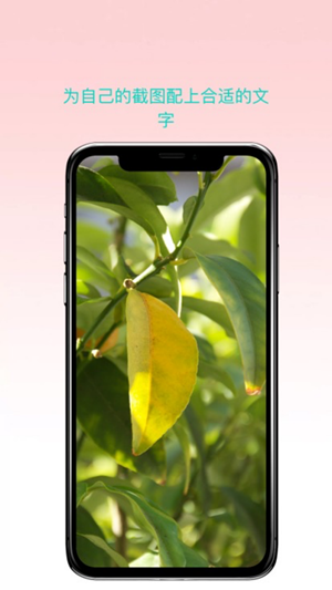 曲奇截屏免费版图3