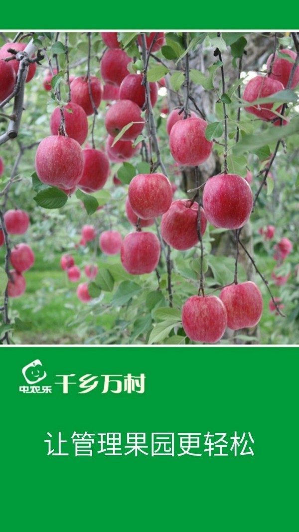 千乡万村官方最新版