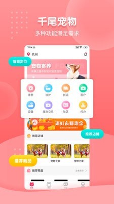 千尾安卓直装版图1
