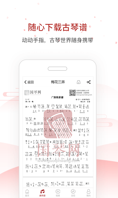 国琴网官方最新版图3
