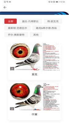 邢小信通用版