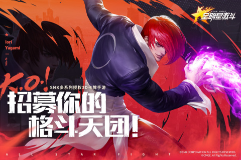 全明星激斗手机版(5)