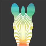 趣行斑马官方正版