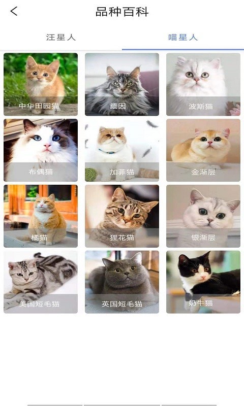 宠物知识全书安卓免费版图2