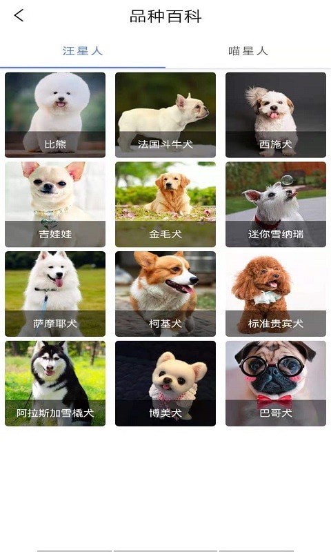 宠物知识全书安卓免费版图3