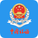 青海税务官方版