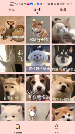汉克狗正版