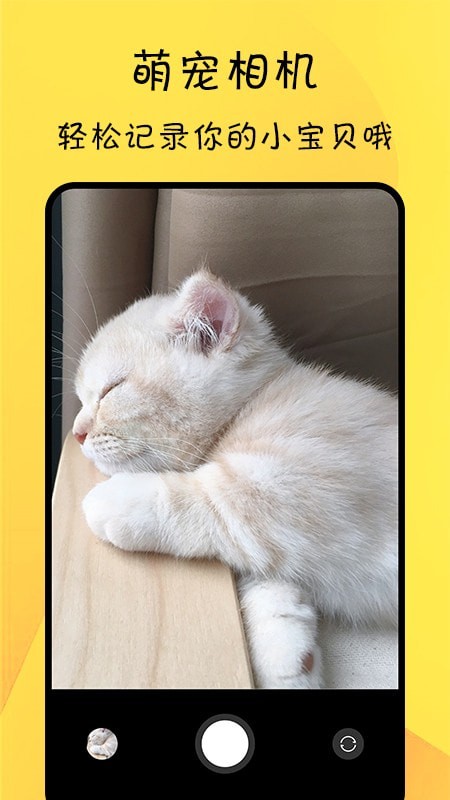 猫友舍通用版图4