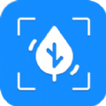 爱花草识别最新免费版