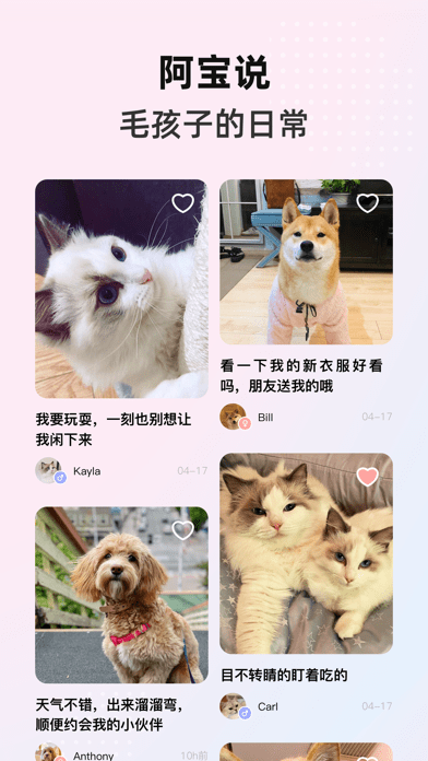 阿宝说正版图1