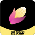 熟玉米视频手机最新版