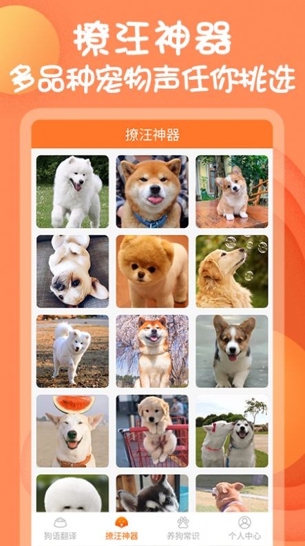 狗与翻译器手机最新版
