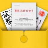 扫描文件王正版
