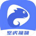 壁虎视频通用版
