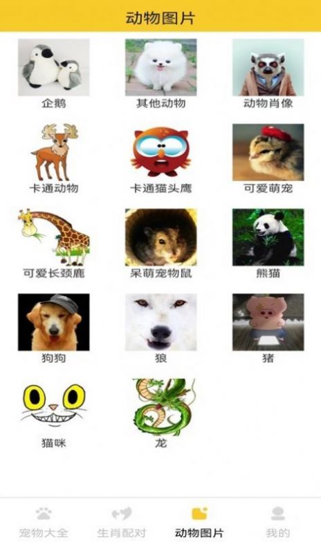 猫狗宠物大全正版图2
