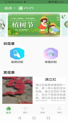 一花草免费原版图3