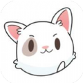 PPXDM通用版