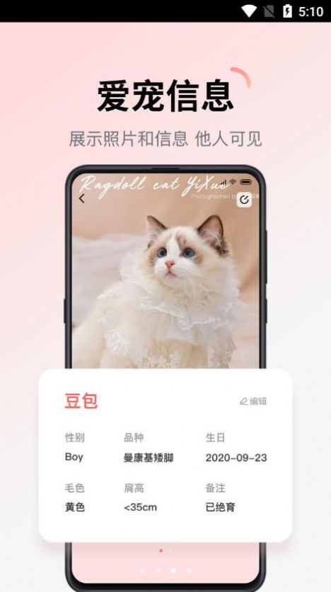 多仔宠物最新版图1