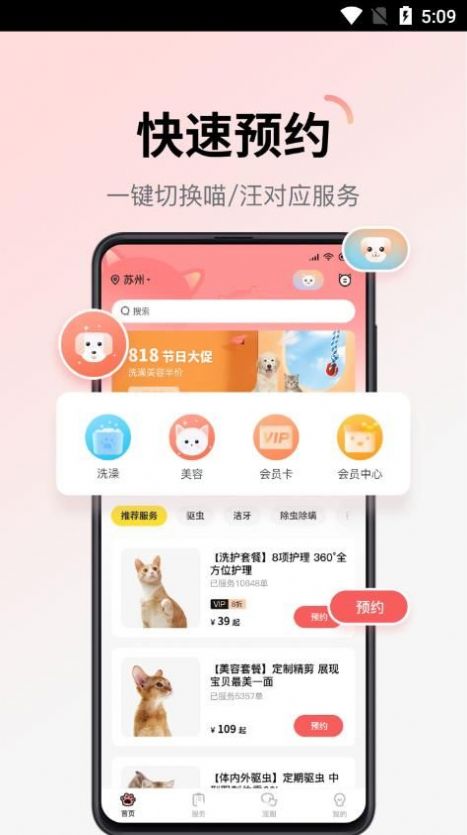 多仔宠物最新版图2