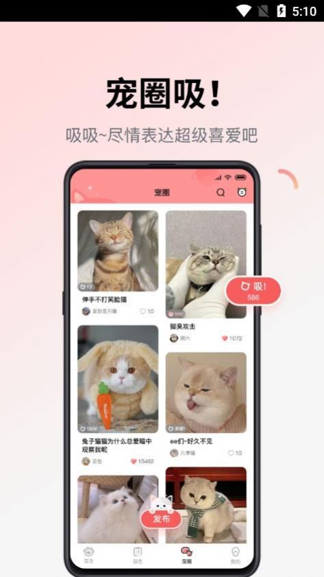 多仔宠物最新版图3