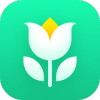Plant Parent直装版