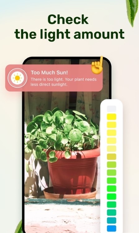 Plant Parent直装版
