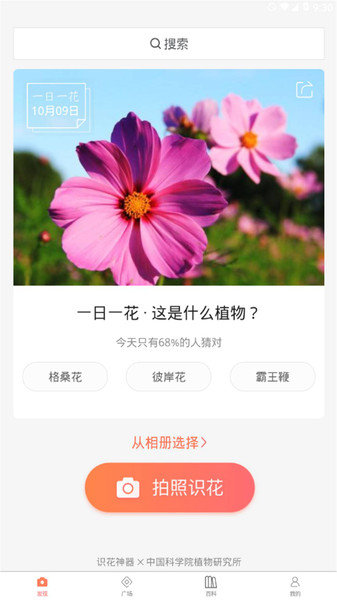 花朵识别最新免费版图1