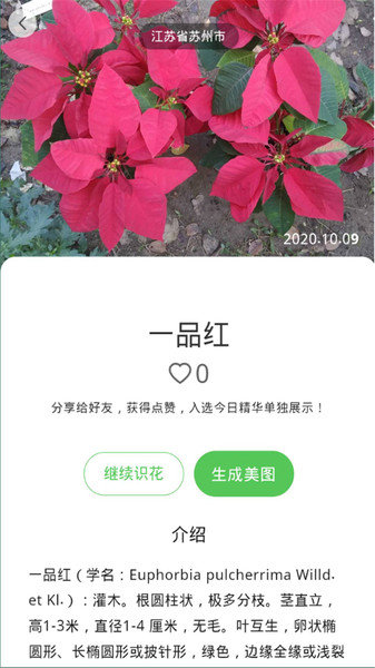 花朵识别最新免费版图2