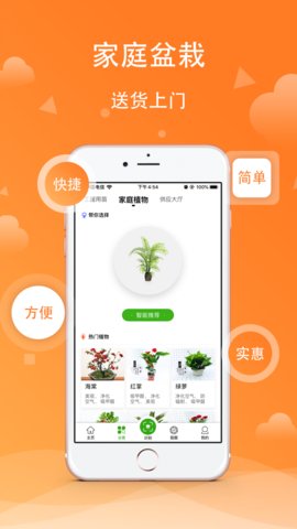 苗木之家免费原版