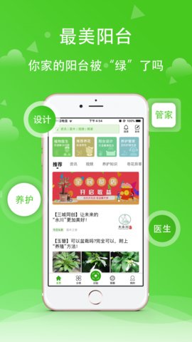 苗木之家免费原版
