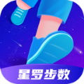 星罗步数安卓直装版 v1.0
