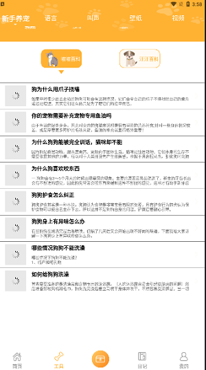 猫与翻译器官方版图3