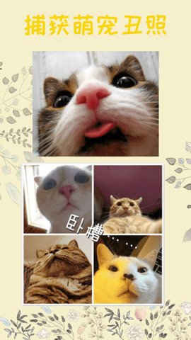 猫语免费原版图1