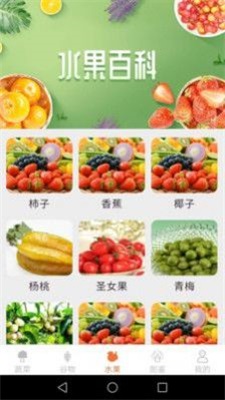 绿色菜园子安卓直装版
