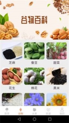 绿色菜园子安卓直装版