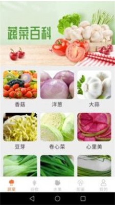绿色菜园子安卓直装版