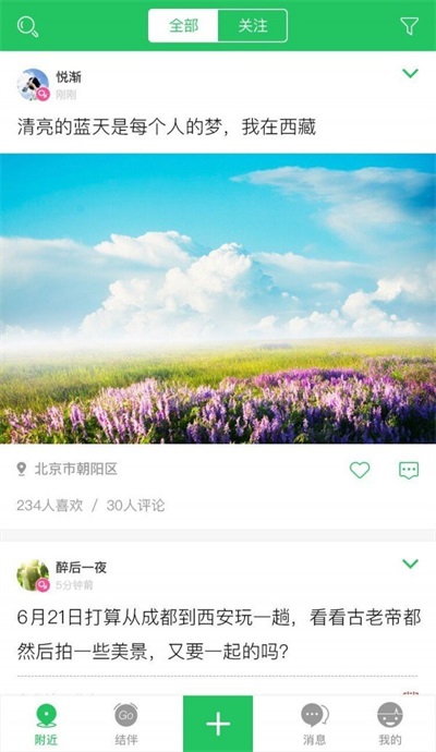 大树旅行手机正版