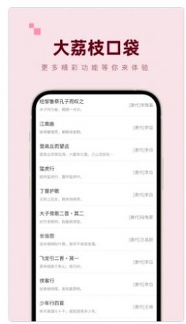 大荔枝口袋手机正版图2