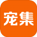 宠集服务端官方版