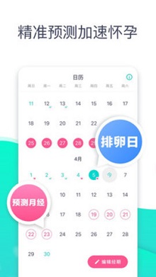 共乐孕正版