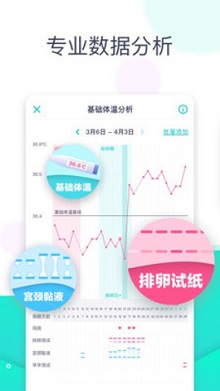 共乐孕正版